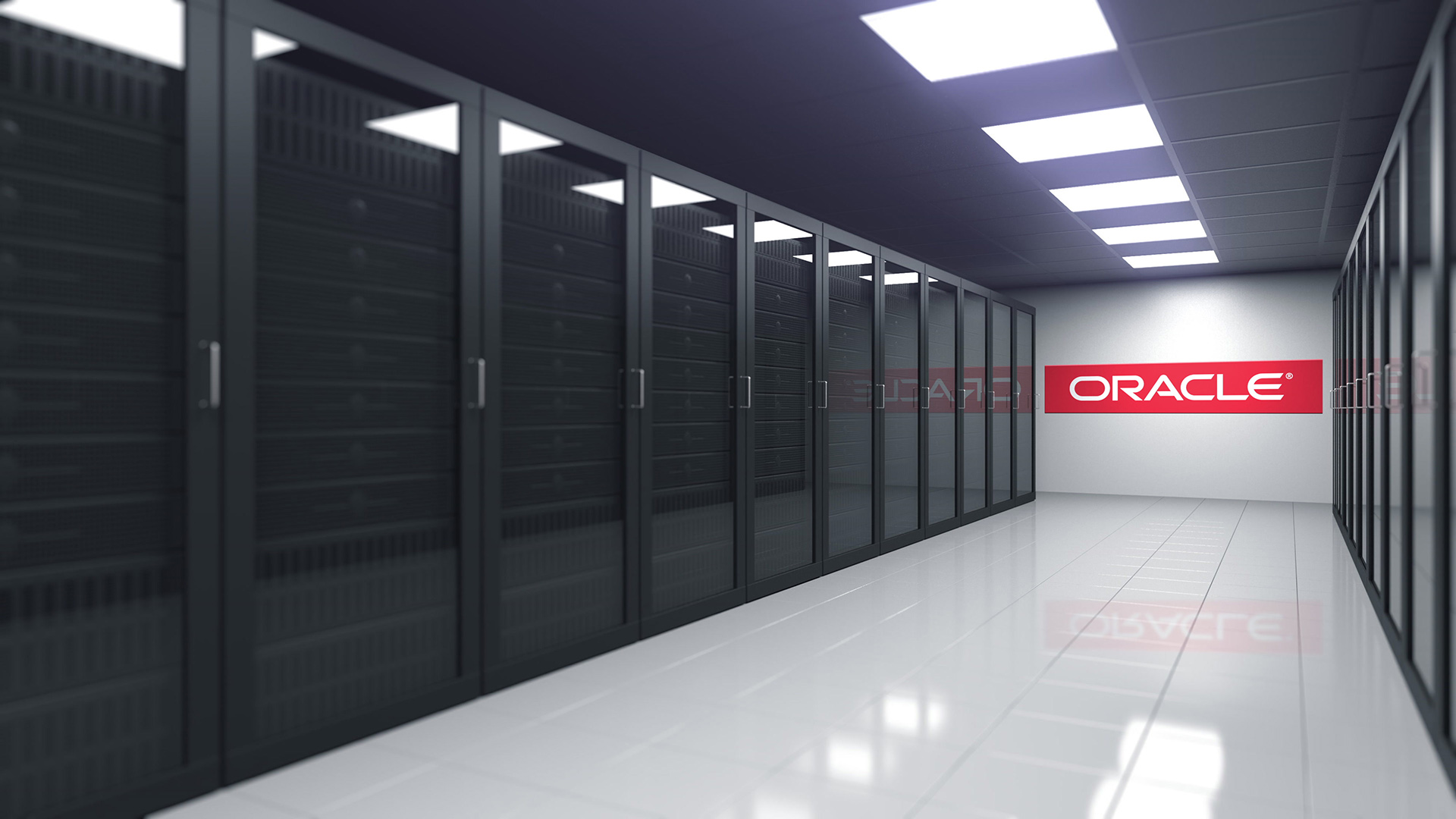 datatronic oracle szolgáltatások
